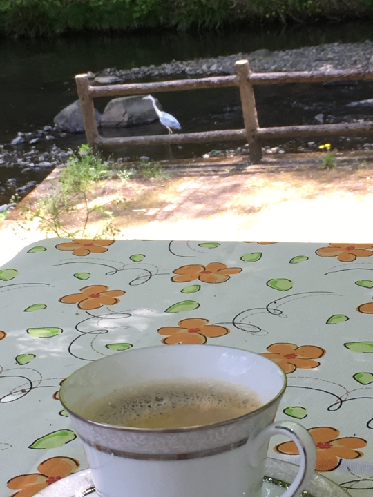 2019-05-04 10.40.52-1