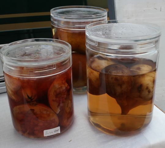 1000円グルメの旅 from 宇都宮 to 47都道府県