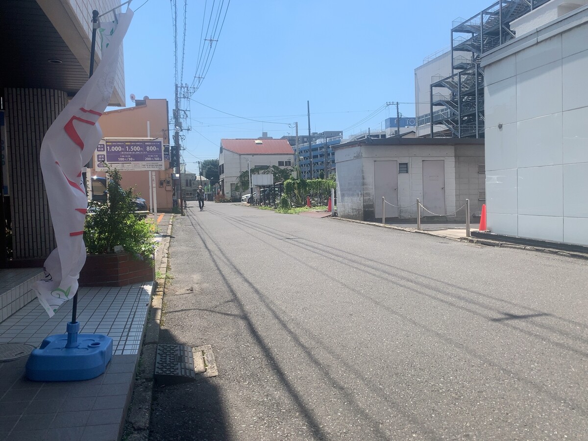 ユズリハ 1000枚