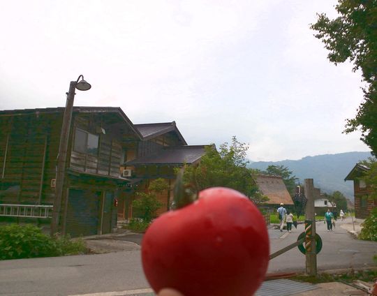 1000円グルメの旅 from 宇都宮 to 47都道府県
