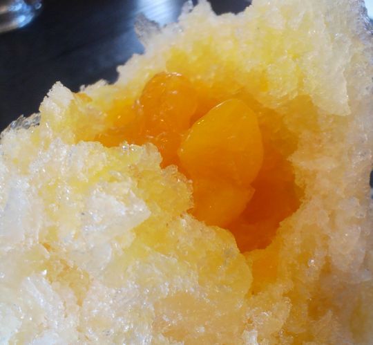 1000円グルメの旅　from 宇都宮　to 47都道府県