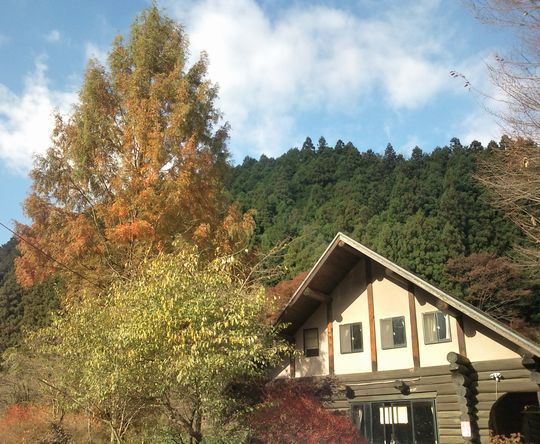 1000円グルメの日々in宇都宮