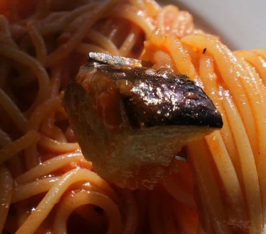 1000円グルメの旅 from 宇都宮 to 47都道府県