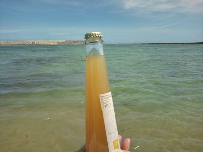 1000円グルメの日々in宇都宮