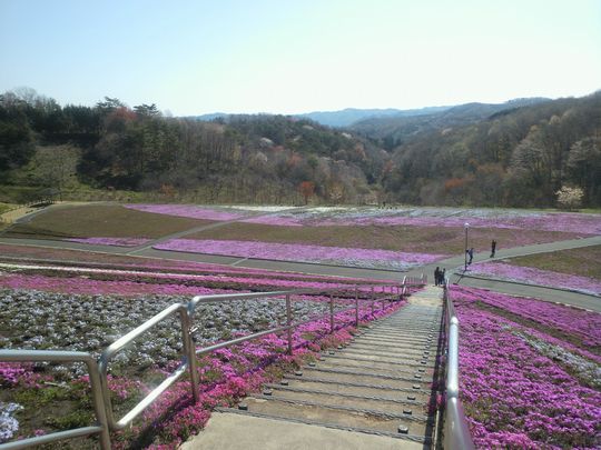 1000円グルメの旅 from 宇都宮 to 47都道府県