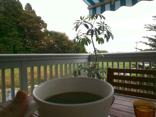 1000円グルメの旅　from 宇都宮　to 47都道府県