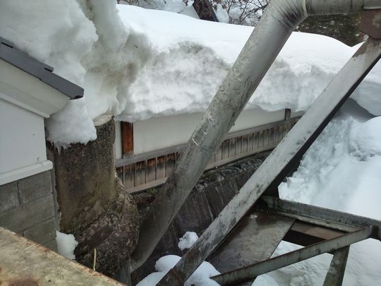 1000円グルメの日々in宇都宮