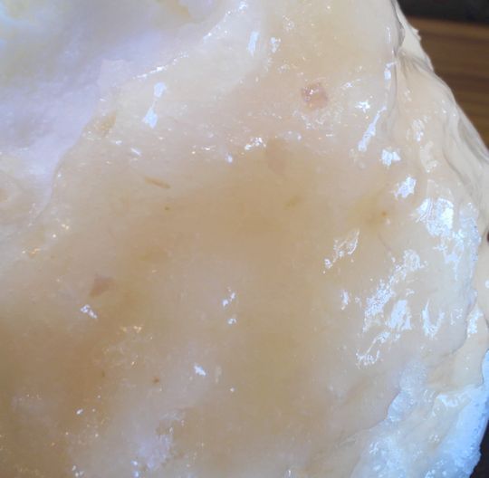 1000円グルメの旅　from 宇都宮　to 47都道府県