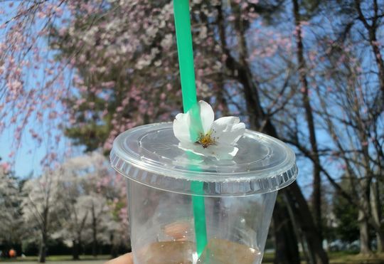 1000円グルメの旅　from 宇都宮　to 47都道府県