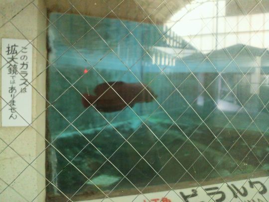 1000円グルメの旅 from 宇都宮 to 47都道府県