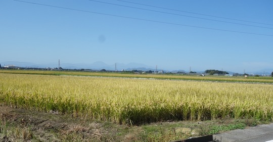 DSC04770