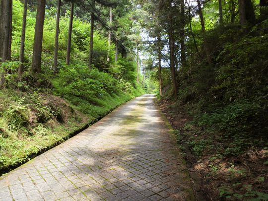 1000円グルメの旅 from 宇都宮 to 47都道府県