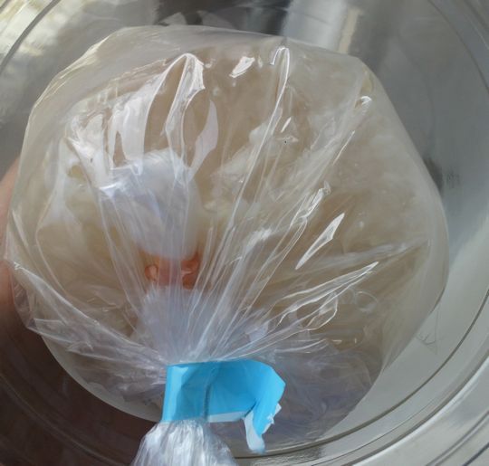 1000円グルメの旅 from 宇都宮 to 47都道府県