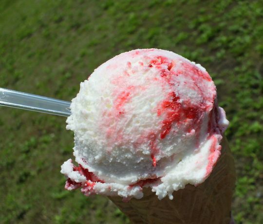 1000円グルメの旅　from 宇都宮　to 47都道府県