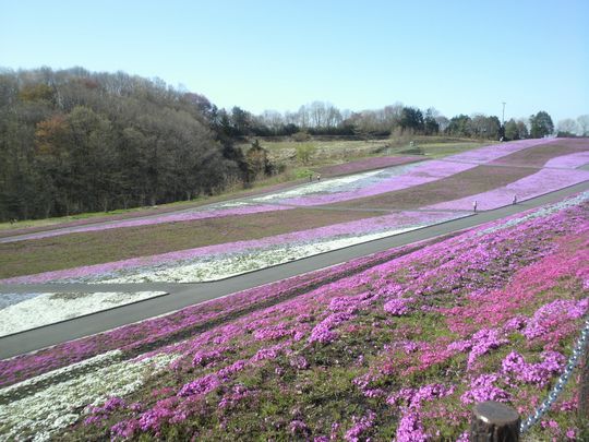 1000円グルメの旅 from 宇都宮 to 47都道府県