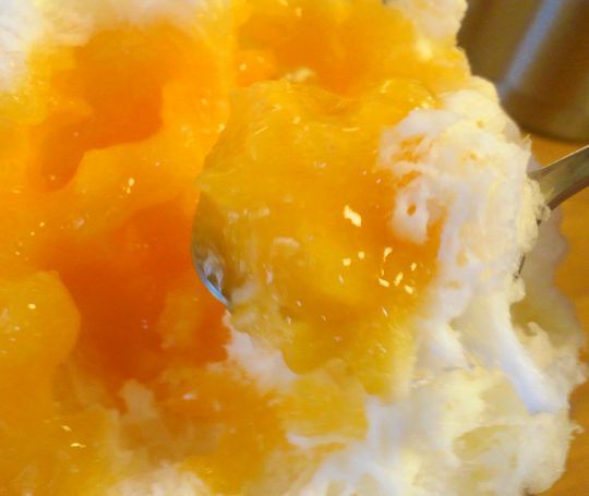 1000円グルメの旅 from 宇都宮 to 47都道府県