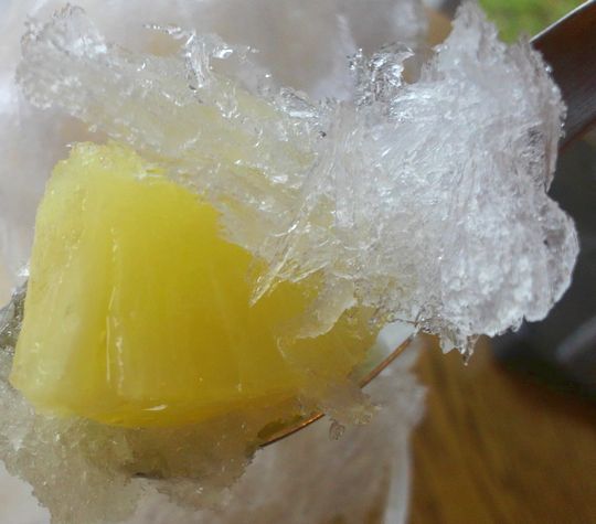 1000円グルメの日々in宇都宮