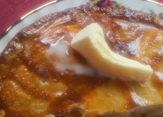 1000円グルメの旅　from 宇都宮　to 47都道府県