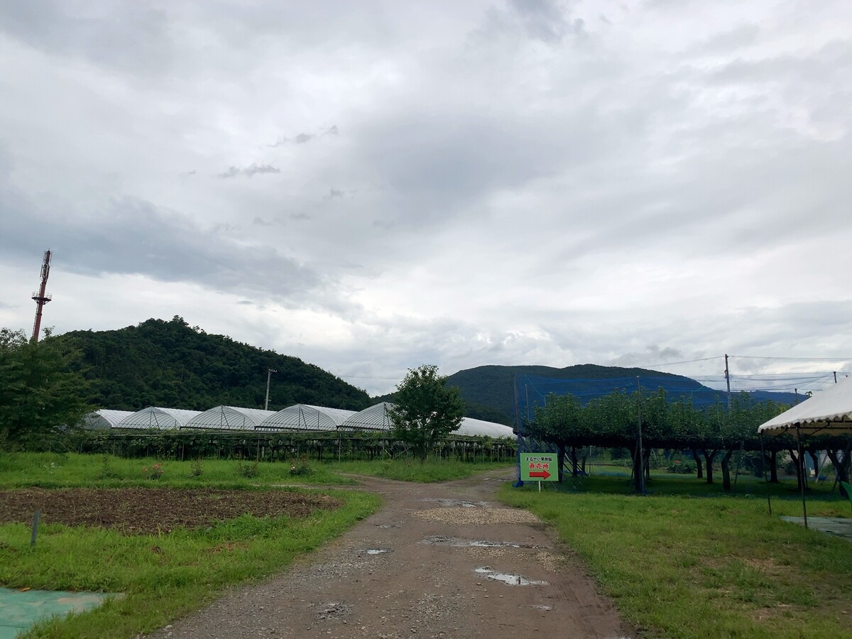 せっかく桃パフェ まるせい果樹園 森のガーデン 福島県 1000円グルメの旅 Powered By ライブドアブログ せっかく桃パフェ まるせい果樹園 森のガーデン 福島県 1000円グルメの旅 Powered By ライブドアブログ