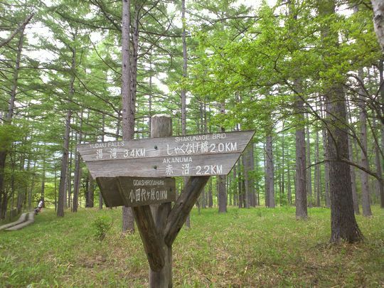 1000円グルメの旅　from 宇都宮　to 47都道府県