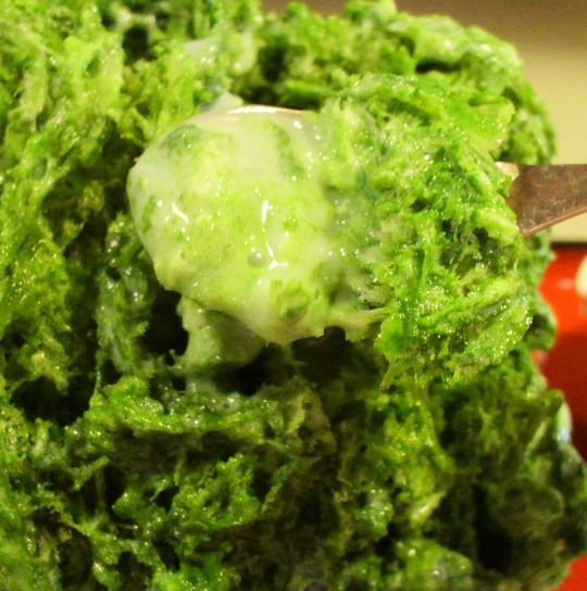 1000円グルメの旅　from 宇都宮　to 47都道府県