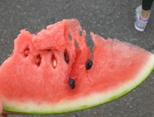 1000円グルメの旅 from 宇都宮 to 47都道府県