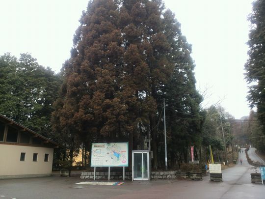 1000円グルメの旅　from 宇都宮　to 47都道府県