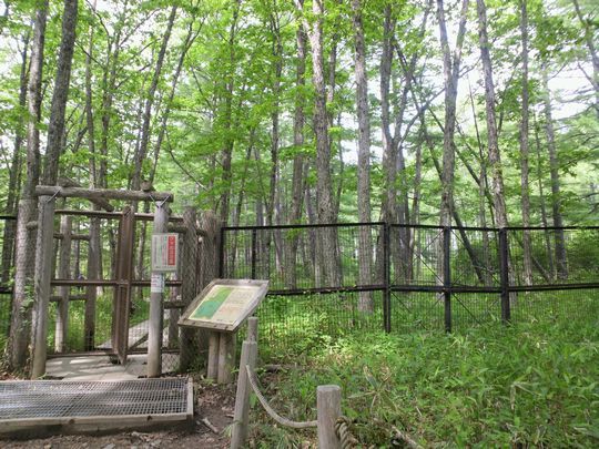 1000円グルメの旅　from 宇都宮　to 47都道府県