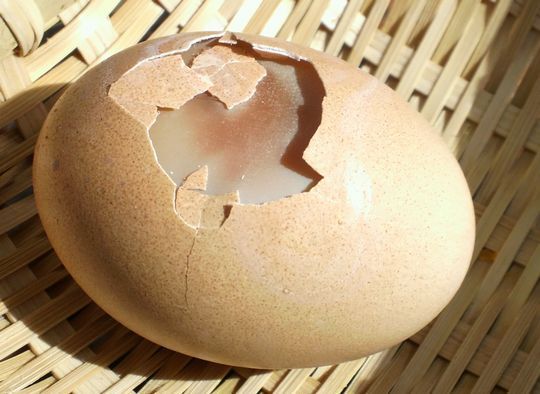 1000円グルメの旅 from 宇都宮 to 47都道府県