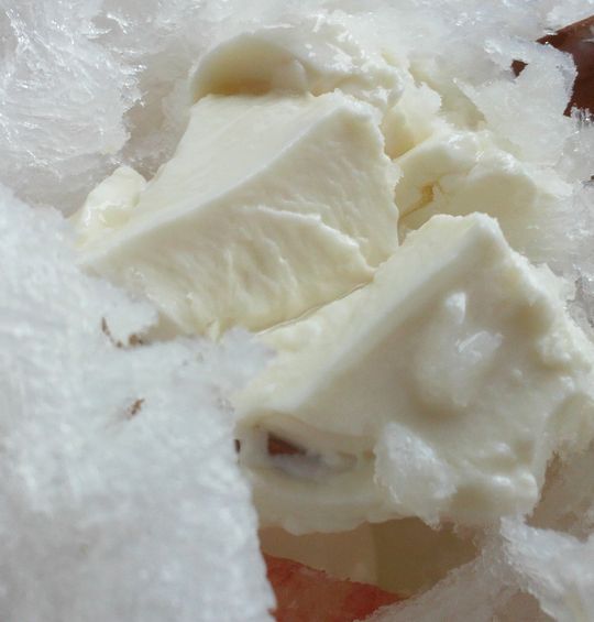 1000円グルメの旅 from 宇都宮 to 47都道府県