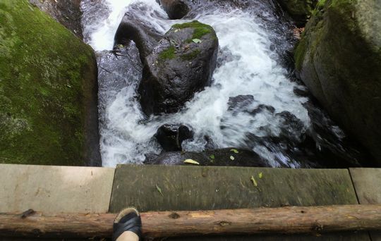 1000円グルメの日々in宇都宮