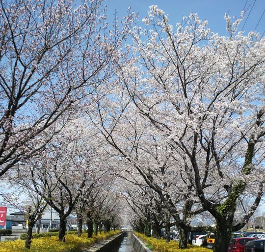 1000円グルメの旅　from 宇都宮　to 47都道府県