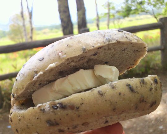 1000円グルメの旅　from 宇都宮　to 47都道府県