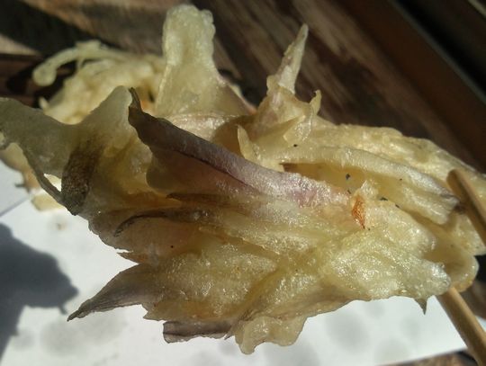 1000円グルメの日々in宇都宮