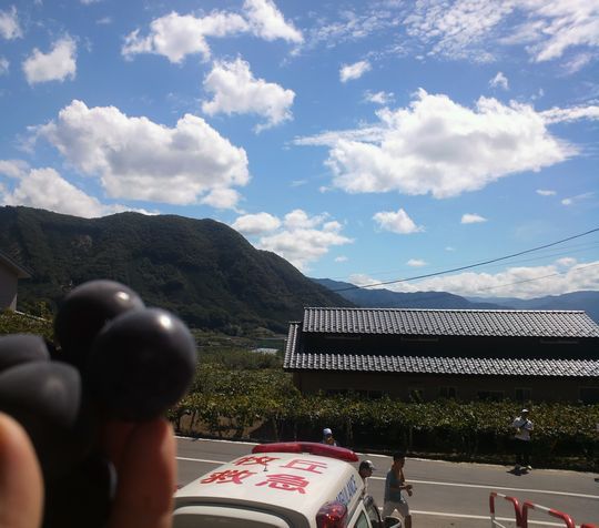 1000円グルメの旅 from 宇都宮 to 47都道府県