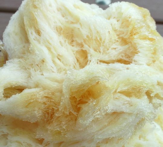 1000円グルメの旅 from 宇都宮 to 47都道府県