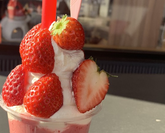 2021-12-26 13.37.21-1