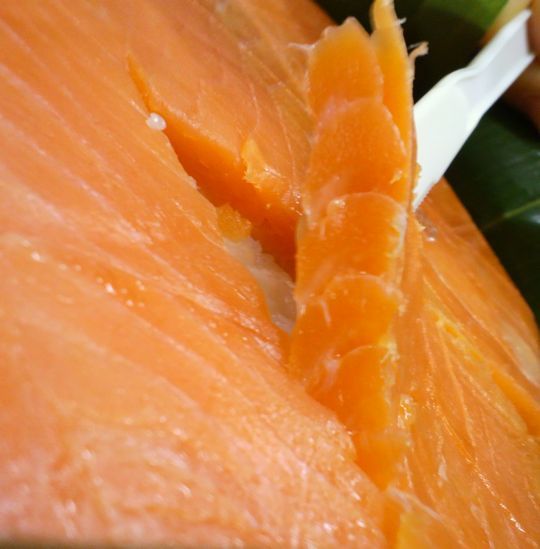 1000円グルメの旅　from 宇都宮　to 47都道府県