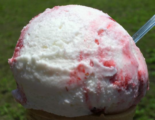 1000円グルメの旅　from 宇都宮　to 47都道府県