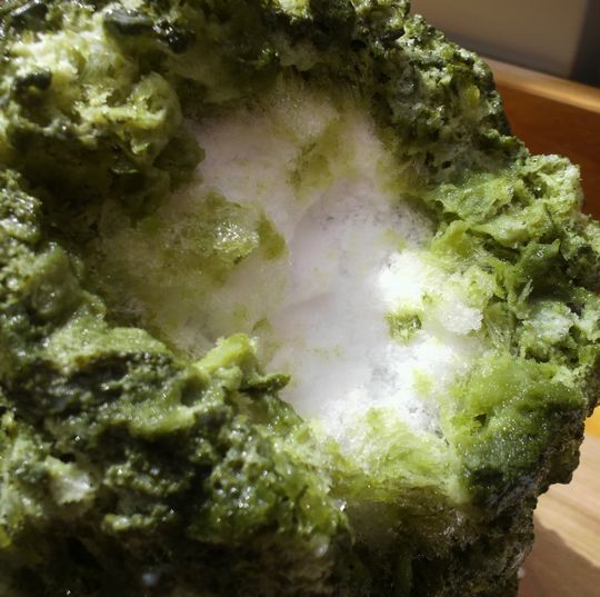 1000円グルメの日々in宇都宮