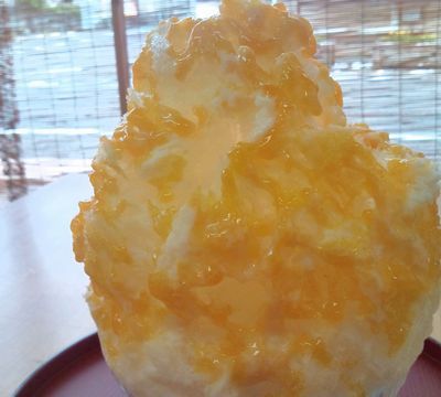 1000円グルメの日々in宇都宮