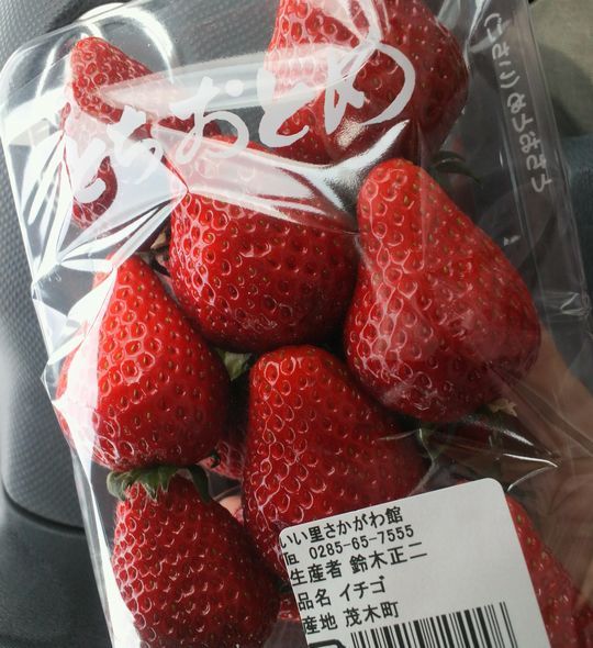 1000円グルメの旅　from 宇都宮　to 47都道府県