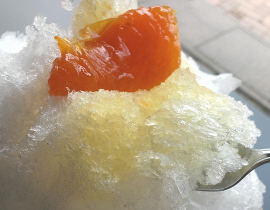 1000円グルメの日々in宇都宮