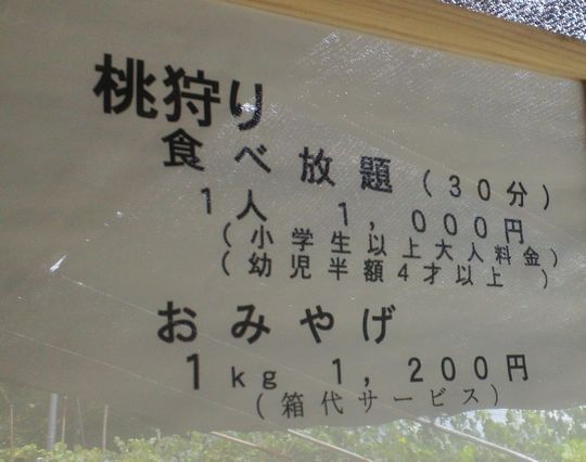 1000円グルメの日々in宇都宮