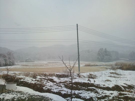 1000円グルメの日々in宇都宮