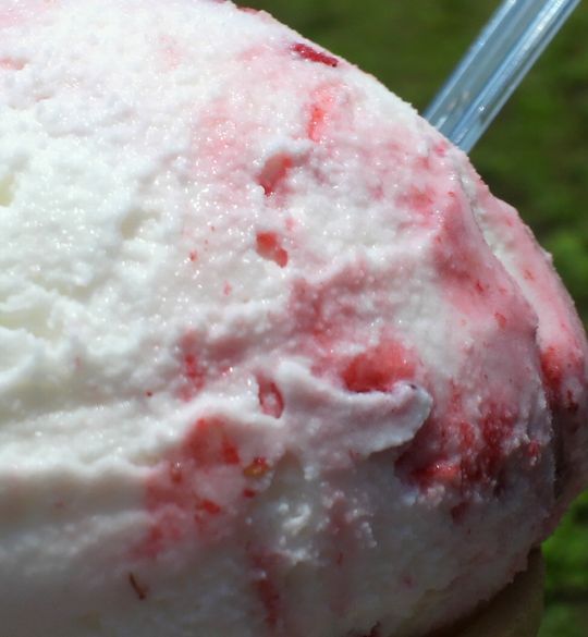 1000円グルメの旅　from 宇都宮　to 47都道府県