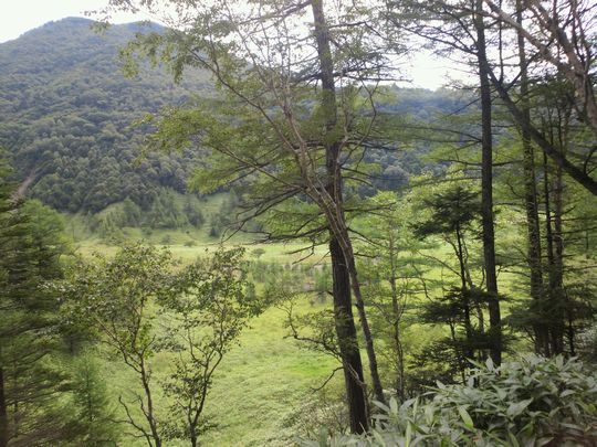 1000円グルメの旅 from 宇都宮 to 47都道府県