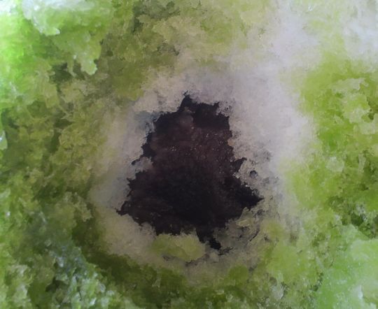 1000円グルメの旅　from 宇都宮　to 47都道府県