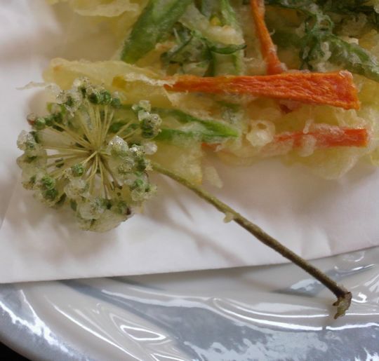 1000円グルメの旅 from 宇都宮 to 47都道府県