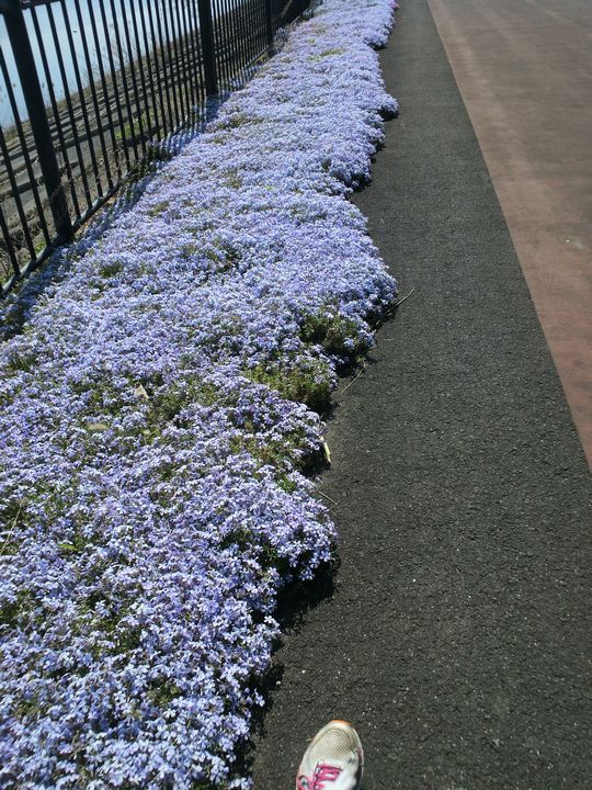 1000円グルメの旅 from 宇都宮 to 47都道府県